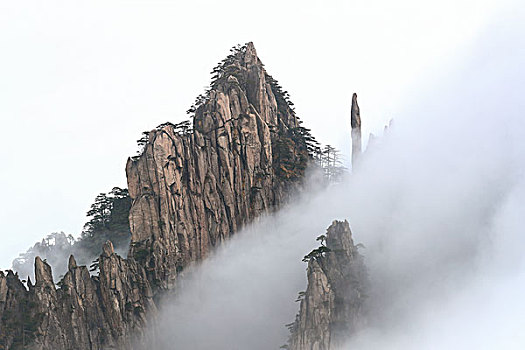 xổ số đài