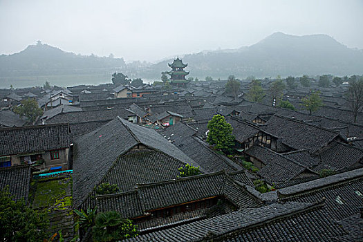 du doan