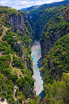 cau gio vang