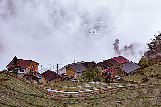 soicaurongbachkim mienbac