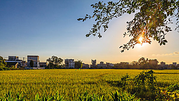 lô theo đặc biệt