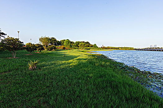 dự đoán bạch thủ lô