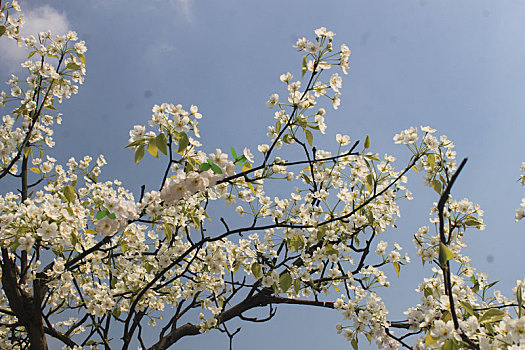 dự đoán số miền nam