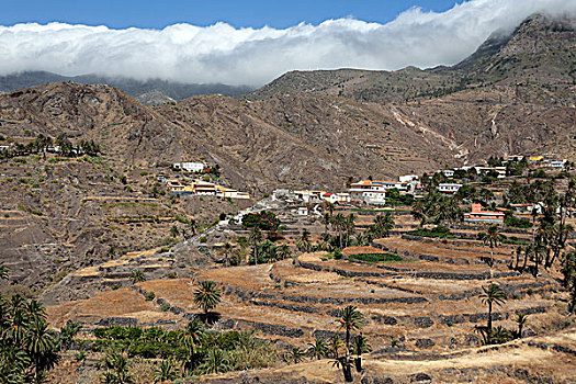 soi cau than tai mn