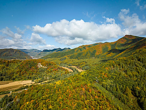 cầu số đề