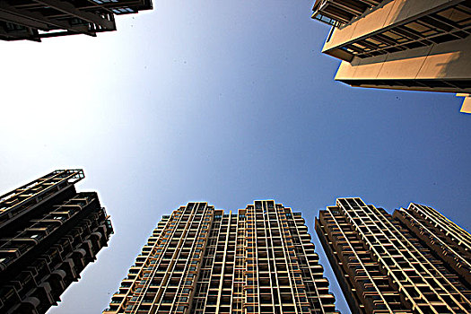 soi cau 555 hom nay
