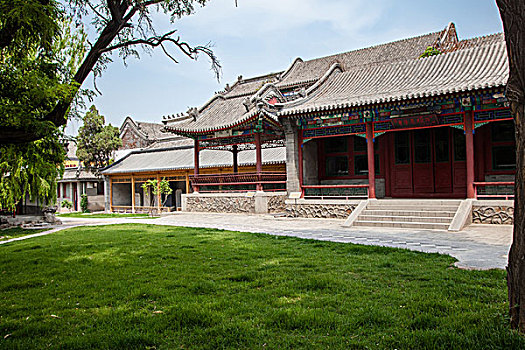 soi cau mien phi 888 mn