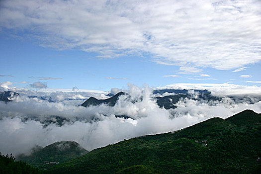 soi cầu bạch kim