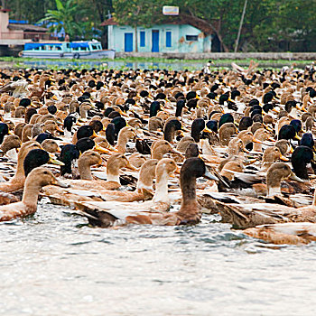 lo kep khung 3 ngay