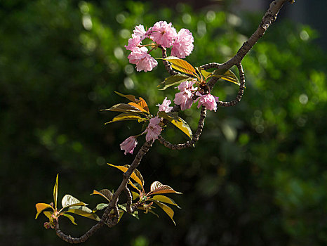 dự đoán lô đề chính xác