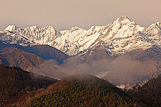 lo bạch thủ hôm nay