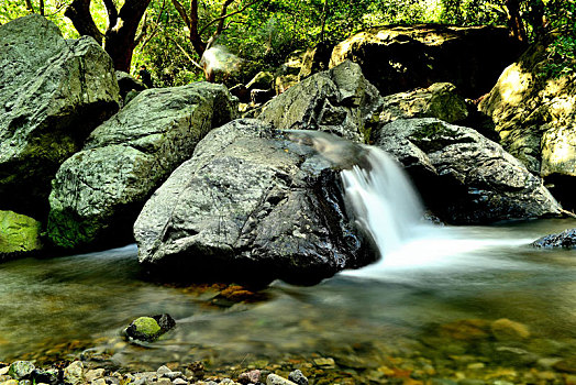 bạch thủ đề chuẩn