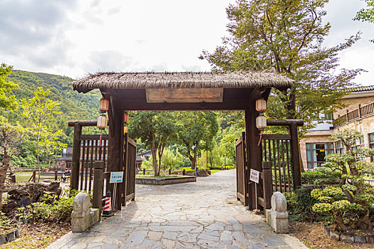 soi cau xsmb rong bach kim