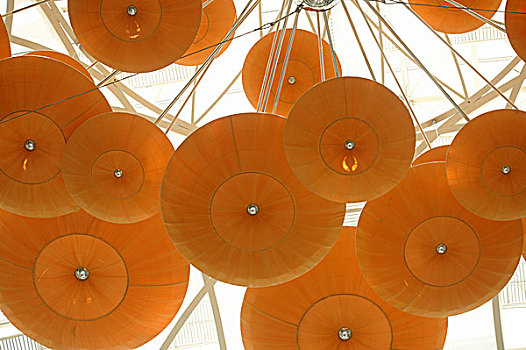 giàu bất ngờ