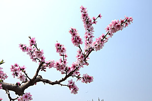 xổ số hà nội ngày hôm nay