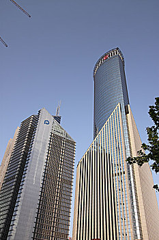soi cau rong