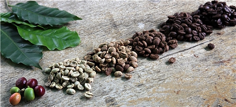 cầu bạch thủ miền bắc hôm nay