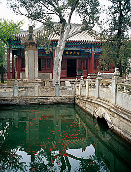 soi cầu bạch thủ miền bắc