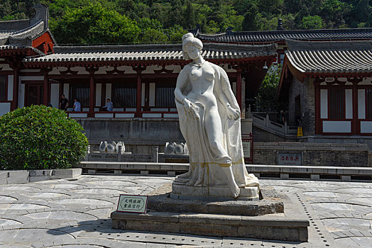 cau mb rong bach kim