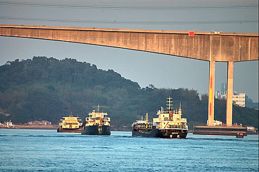 rong bach kim 888