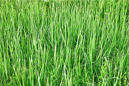 thống kê dự đoán xổ số miền bắc