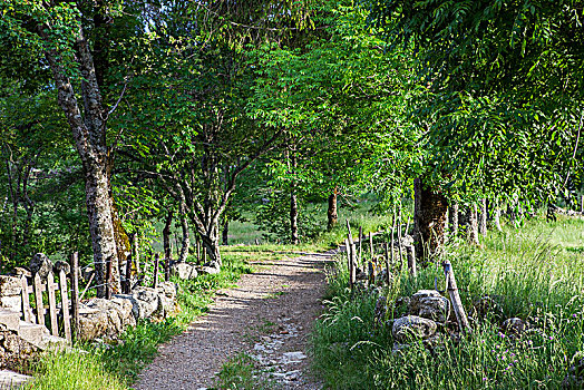 xstgiang