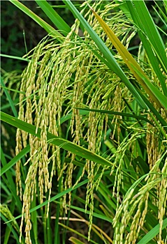 xổ số miền nam thứ