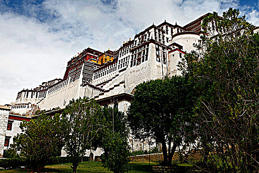 soi cau 336