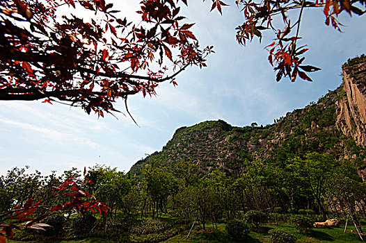 hôm nay đánh lô con gì đẹp