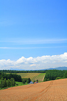 soicau247 888