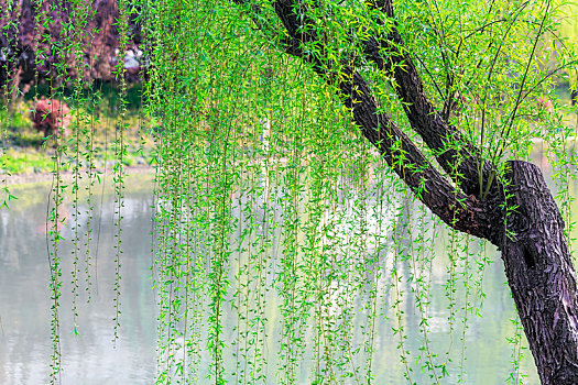 soi cầu xổ số hôm nay