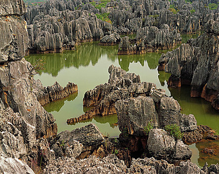 soi cầu bạch thủ 247