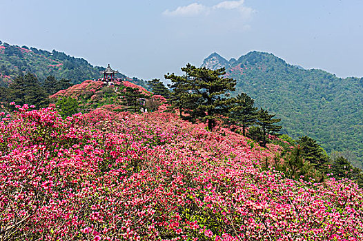 soi cầu 3 càng
