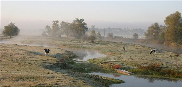 dự đoán bạch thủ lô
