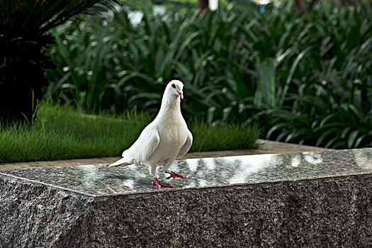 dàn đề siêu chuẩn