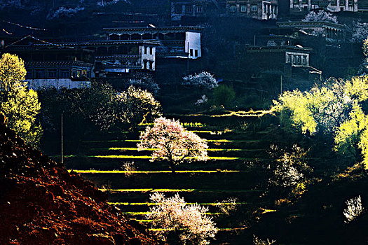 du doan xo so binh duong sieu chuan