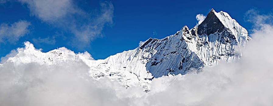 soi cau lo de rong bach kim