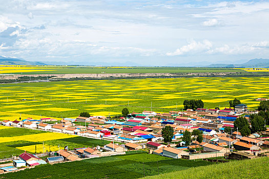 xsmb minh ngọc