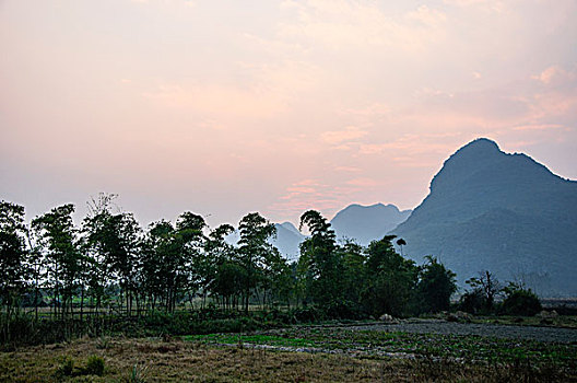 soi bạch thủ lô