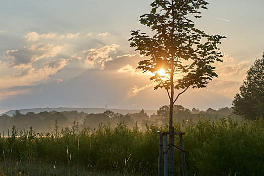 lô đề miền bắc