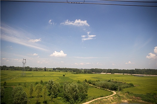 soi cau chuan mb