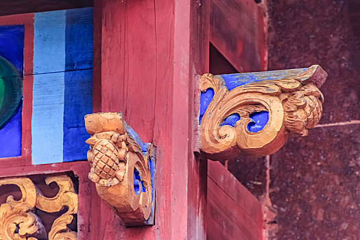 soi bạch thủ lô