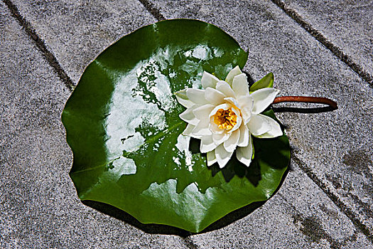 dự đoán xổ số