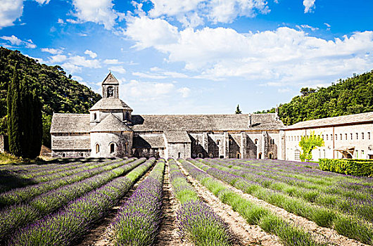 campuchia casino