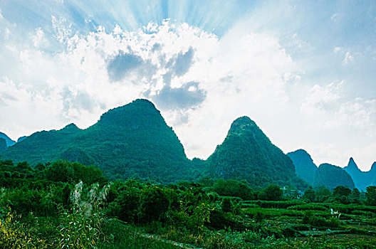 soi cau bach thu 888 hom nay