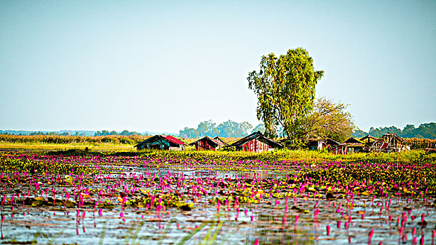 quay thử xổ số tây ninh