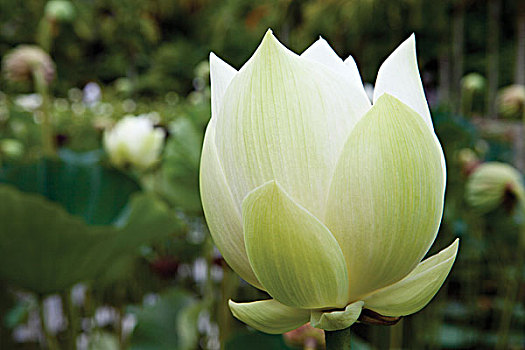 dự đoán lô tô hôm nay