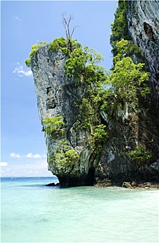 soi cau lo de mien bac mien phi