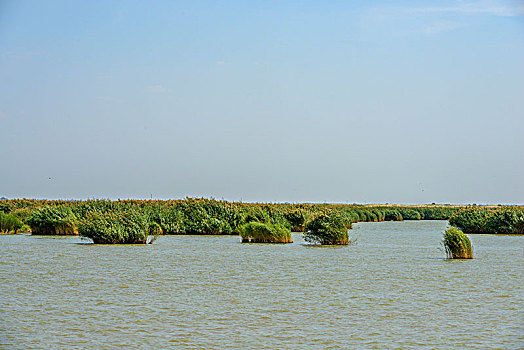 xổ số an giang tuần rồi