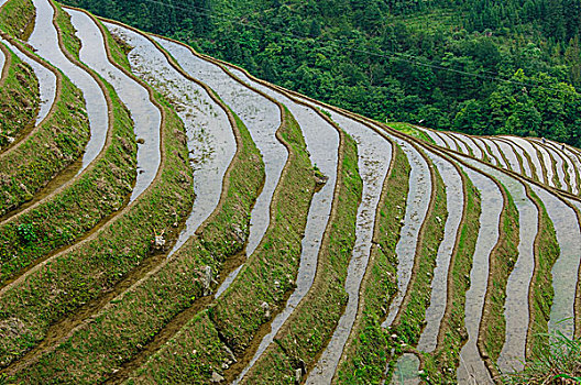 du doan chinh xac 100